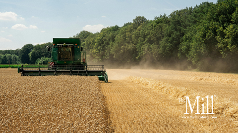 Harvest Update: Corn, Beans, and Small Grains Across the Mid-Atlantic