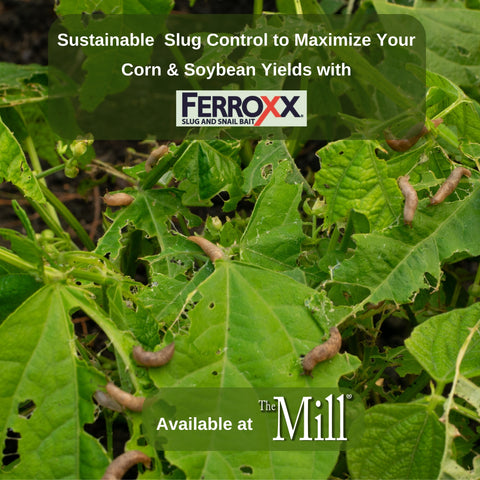 Ferroxx Slug and Snail Bait for soybean, corn and produce crops at The Mill