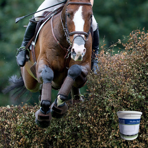 Cross country event horse jumping with a bucket of HydroBoost electrolytes in the foreground of the jump