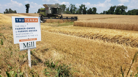 Celebrating a sustainability milestone on 70,000 acres of wheat