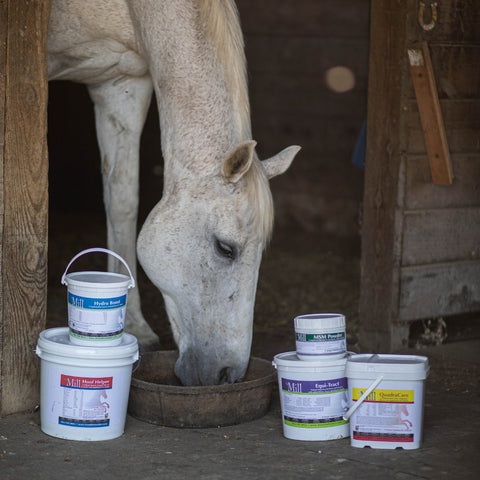 Horse Supplements stacked in the front of a stall with a grey horse eating from a feed tub