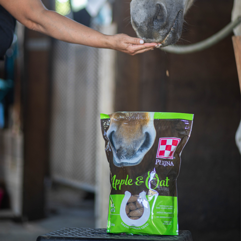Bag of Purina Apple & Oat  horse treats, being fed to a horse in a stall
