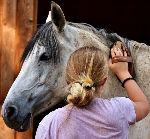 Girl in pink shirt brushing a grey horse