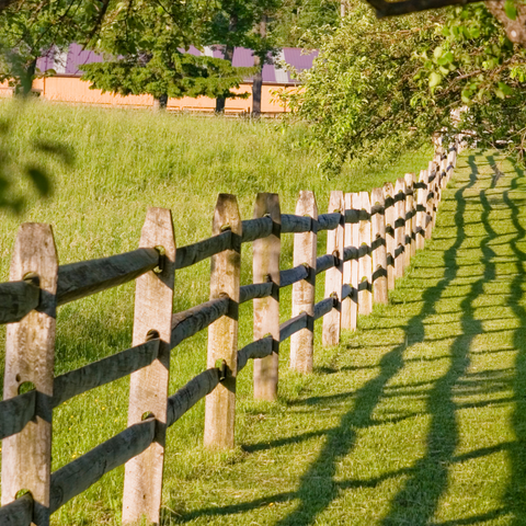 Fence Line Post with Three Holes in a field