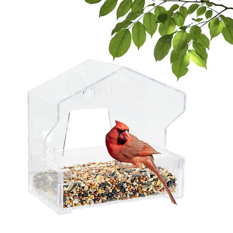Cardinal Visiting Window Bird Feeder