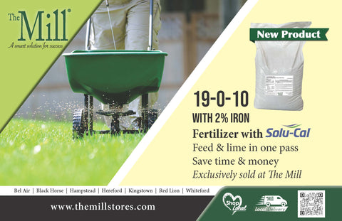 Turf fertilizer 19-0-010 flyer showing a spreader on grass