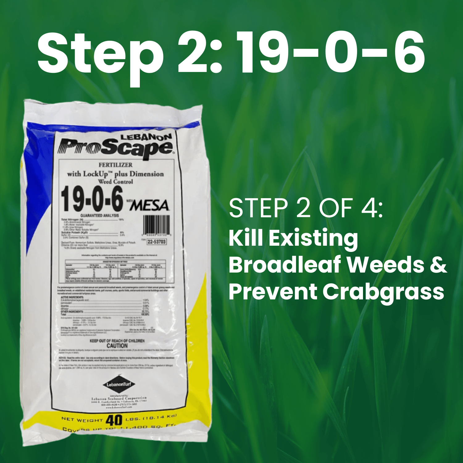 Step 2 | Turf Fertilizer 19-0-6 40lb. MESA with LockUp and .17