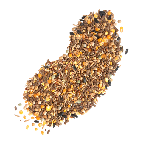 Nutrena Harvest Blend 18% Textured Chicken Feed