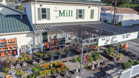 The Mill of Bel Air