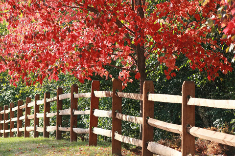 Fencing & Palleted Item Delivery