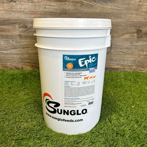 Sunglo Epic Bucket