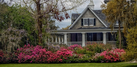 Stone House with Pink Azaleas Outside