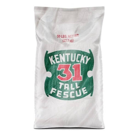 Kentucky 31 Tall Fescue Bag