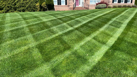 Lawn freshly mowed with stripes