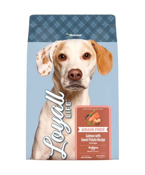 Bag of Loyall Life Salmon with Sweet Potato Dog Food