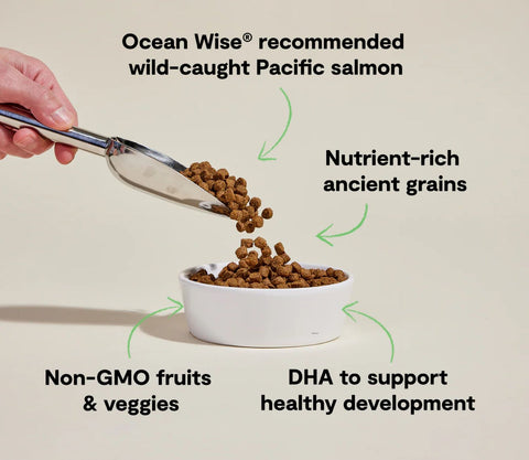 Open Farm Salmon & Ancient Grains Puppy Food