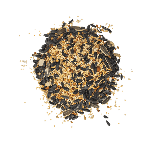 Premium Bird Seed