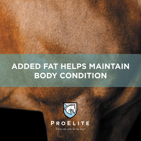 ProElite Senior Horse Feed