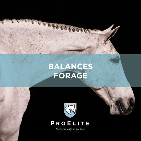 ProElite Grass Advantage Horse Feed