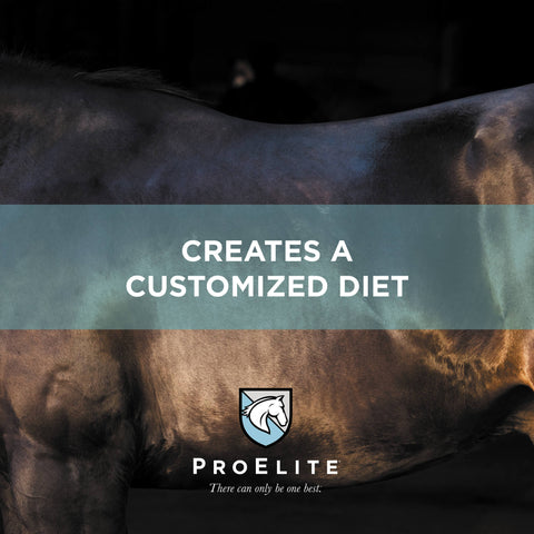 ProElite Grass Advantage Horse Feed