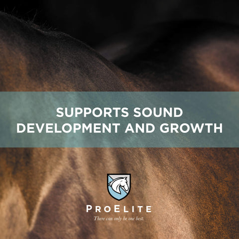 ProElite Growth Horse Feed