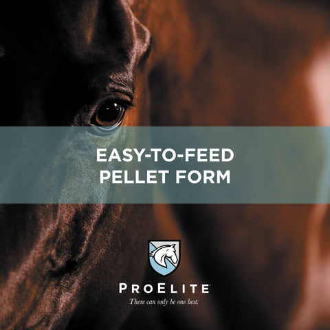 ProElite Top-Line Xtreme Supplement for Horses