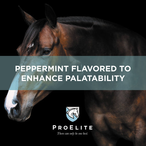 ProElite Joint Supplement for Horses