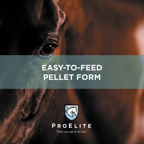 ProElite Joint Supplement for Horses