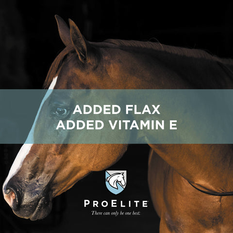 ProElite Omega Advantage Horse Supplement