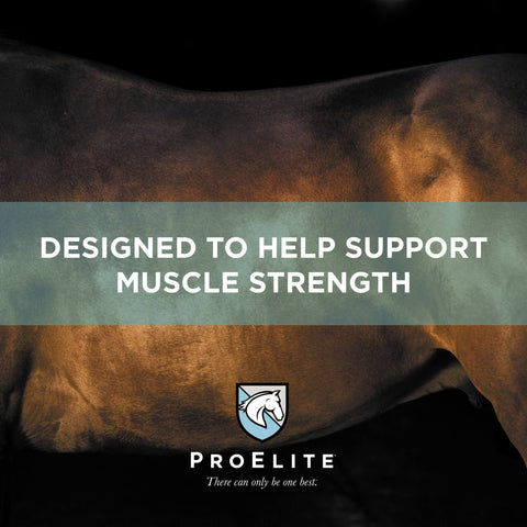 ProElite Performance Horse Feed