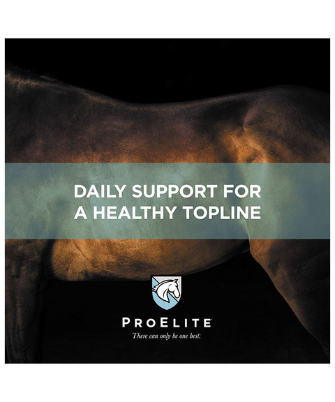 horse body with proelite banner for a healthy topline