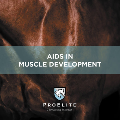 ProElite Topline Advantage Supplement