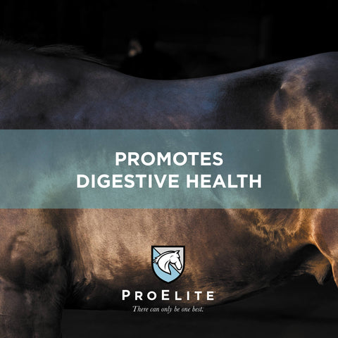 ProElite Topline Advantage Supplement