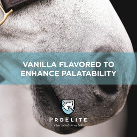 ProElite Top-Line Xtreme Supplement for Horses