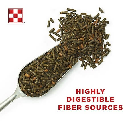 Purina Ultium Gastric Care Feed