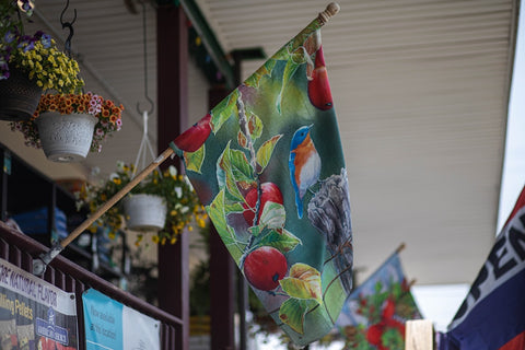 Flag and front porch of The Mill of Red Lion