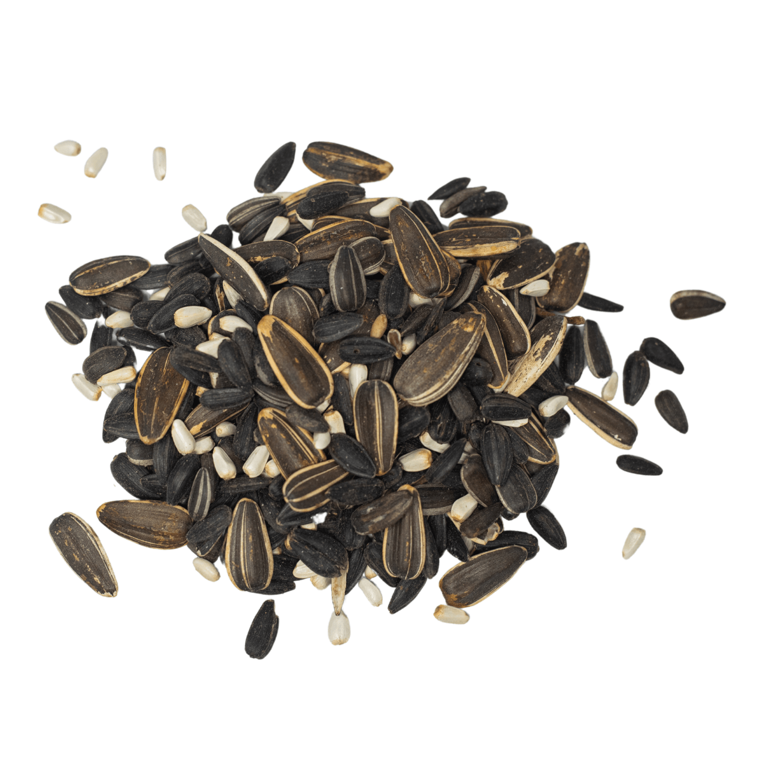 cardinal plant seeds The Mill Cardinal Blend Bird Seed 5 Pounds