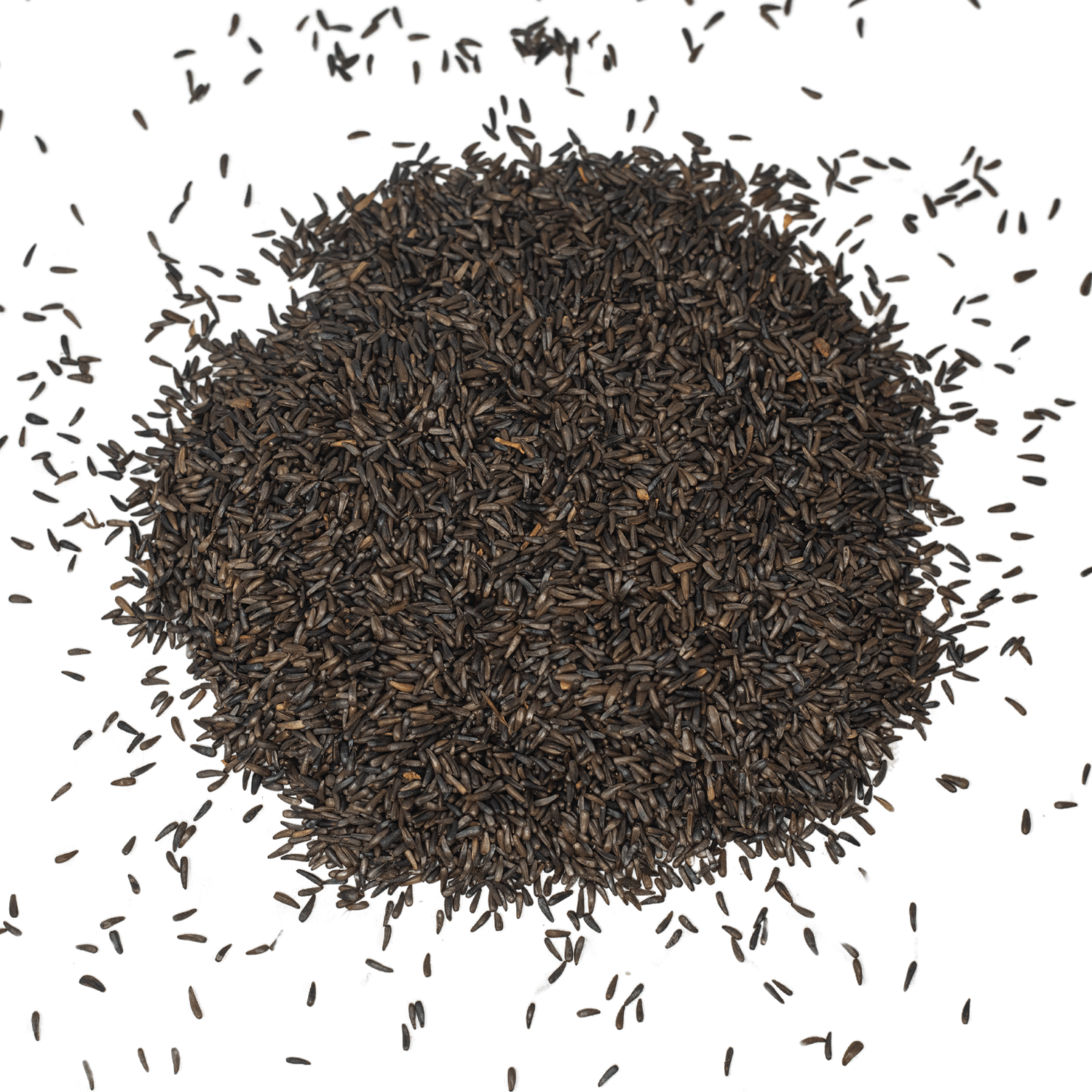 thistle flower seeds Nyjer Seed, 25 lb. Bag