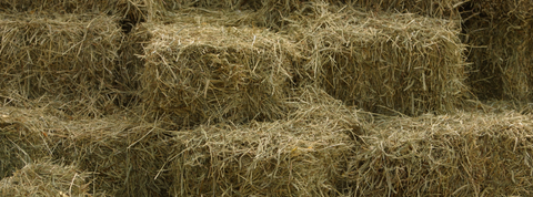 Complimentary Hay Testing