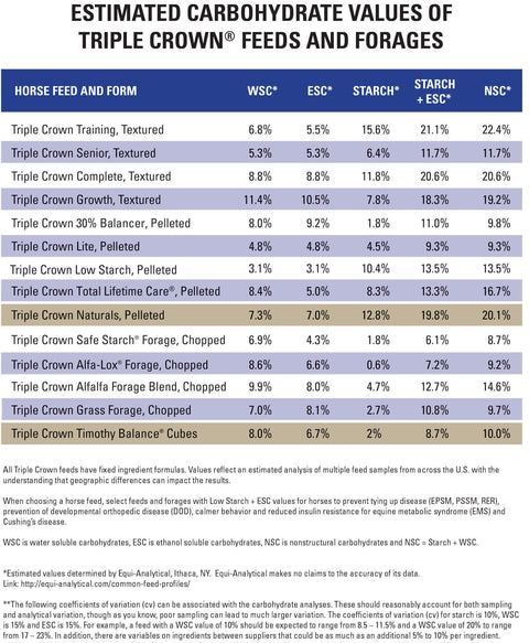 Safe starch info sheet two