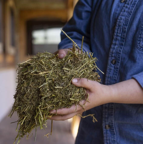 Triple Crown Stress Free Forage