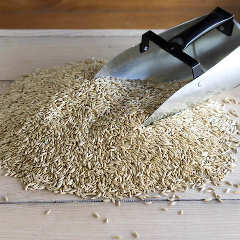 Triple Crown Whole Oats close up