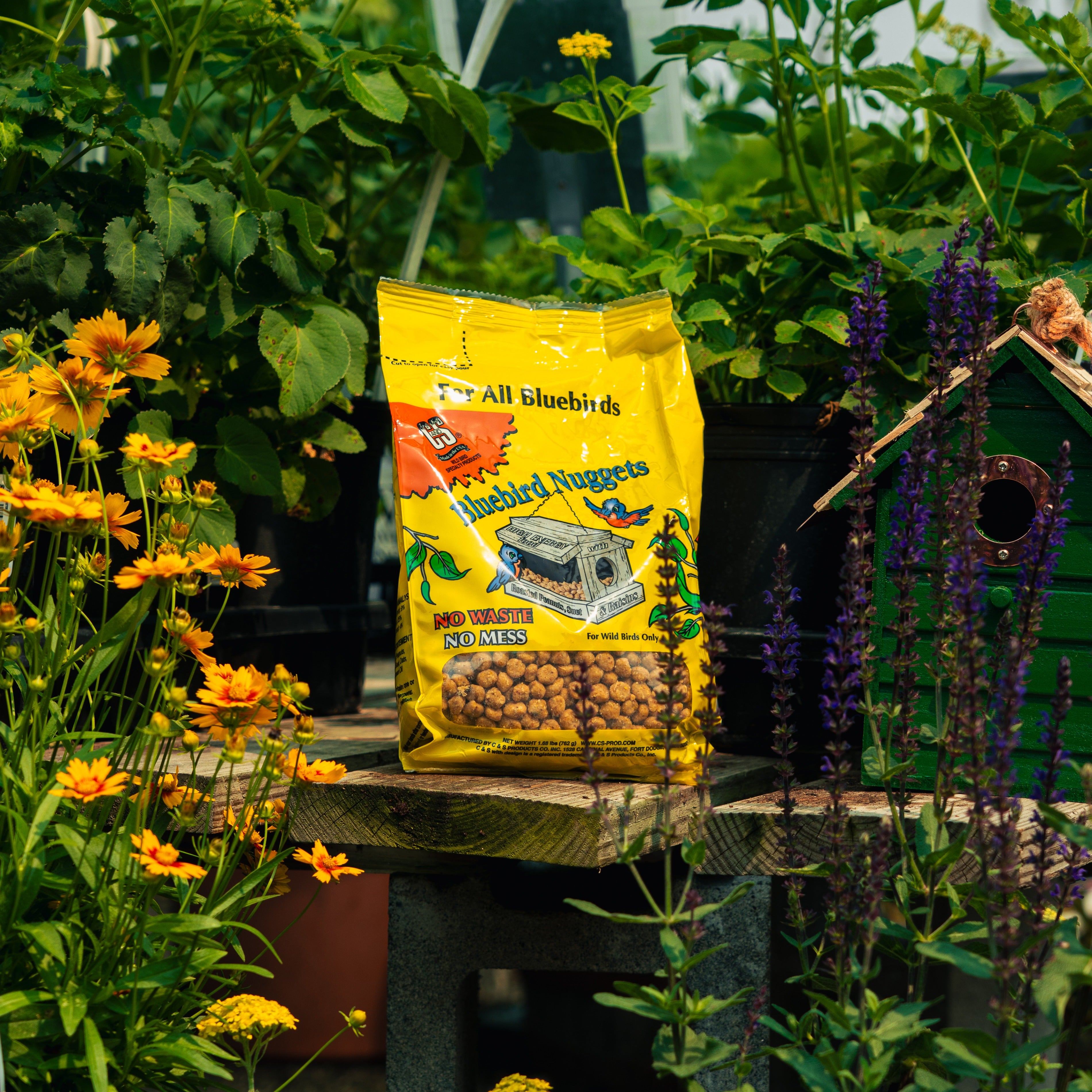 Bluebird Suet Nuggets Wild Bird Feed | The Mill