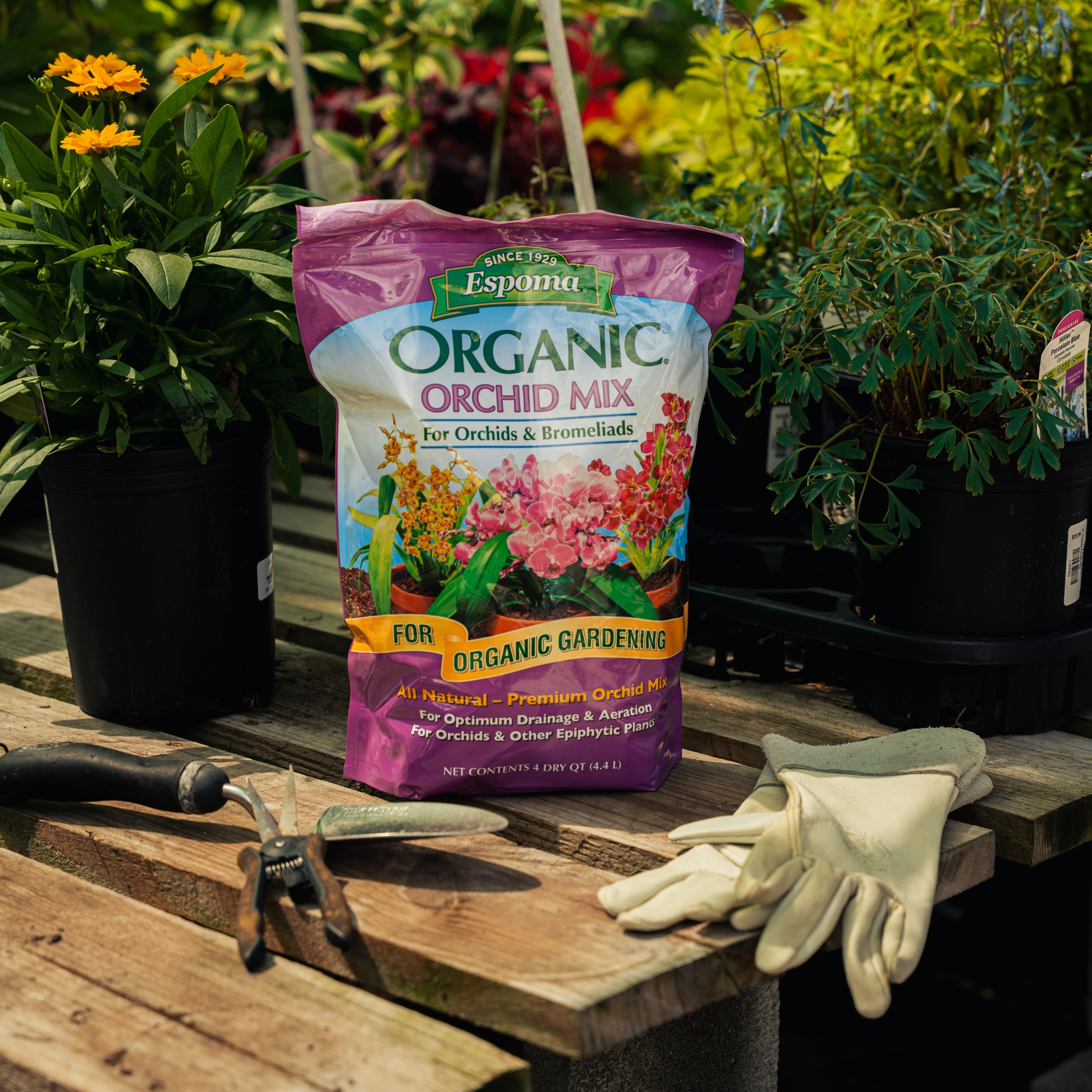 Espoma Orchid Potting Mix | The Mill