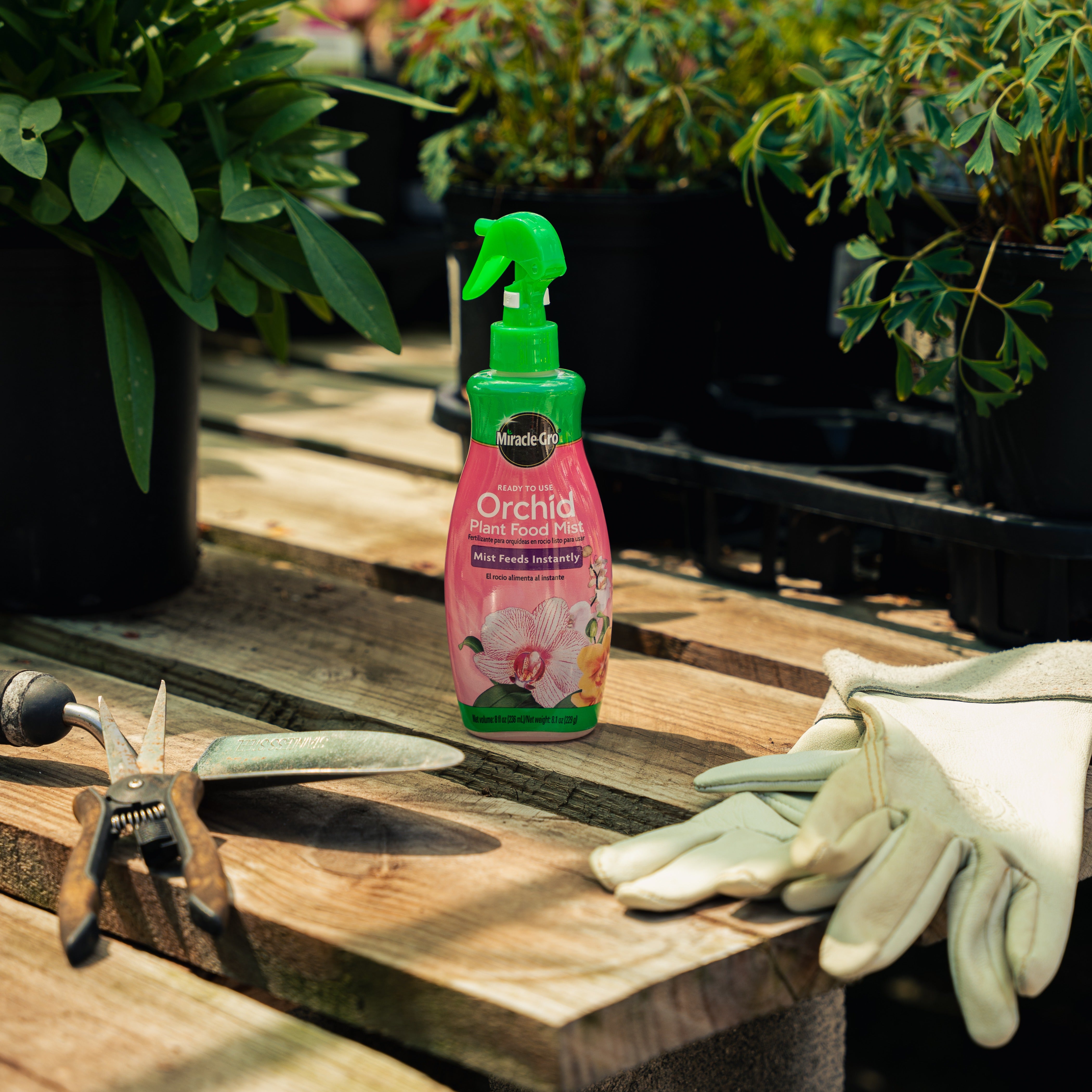 Miracle-Gro Ready-To-Use Orchid Plant Food Mist | The Mill