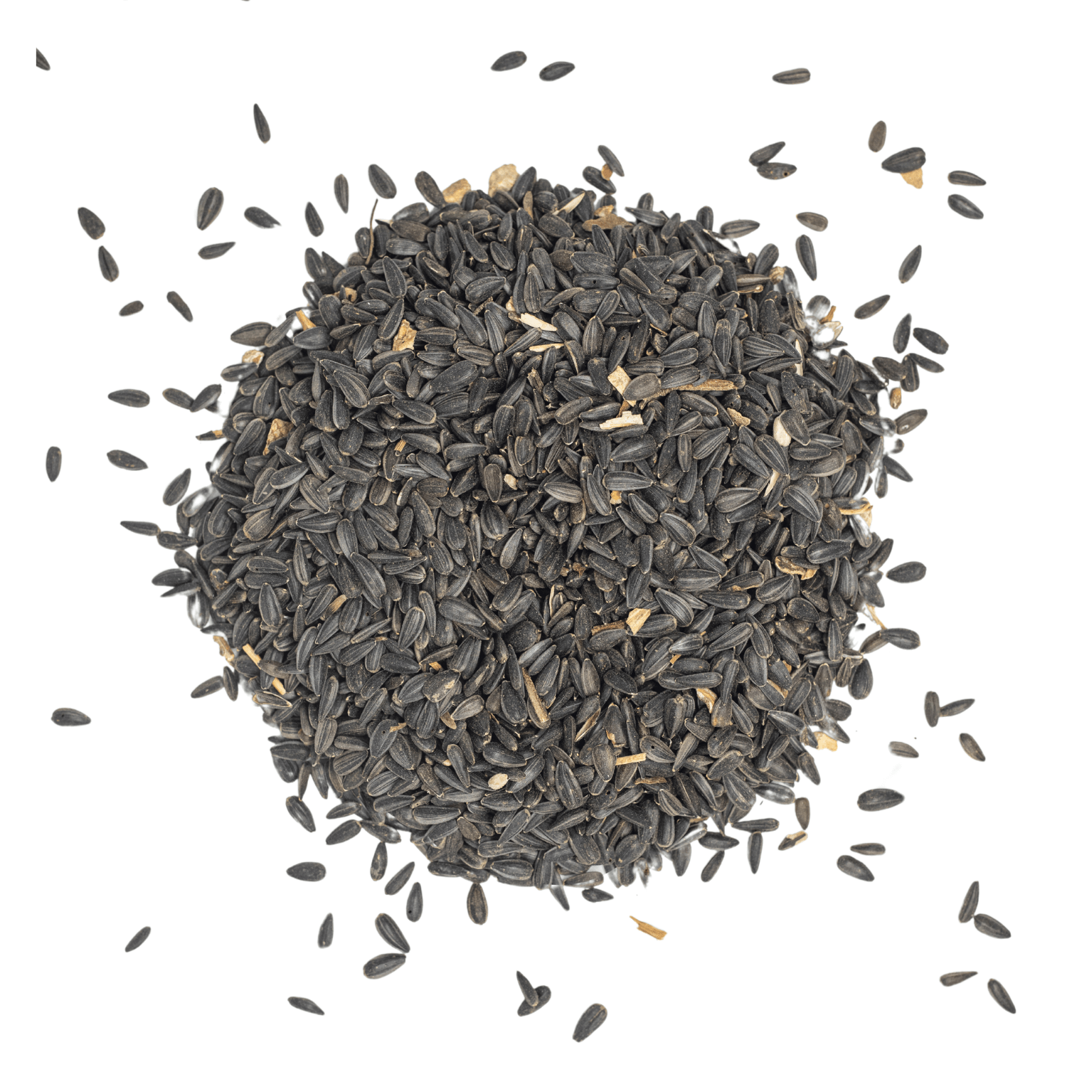 sun flower bird seed Black Oil Sunflower 50LBS