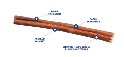 Bully Stick dog treat
