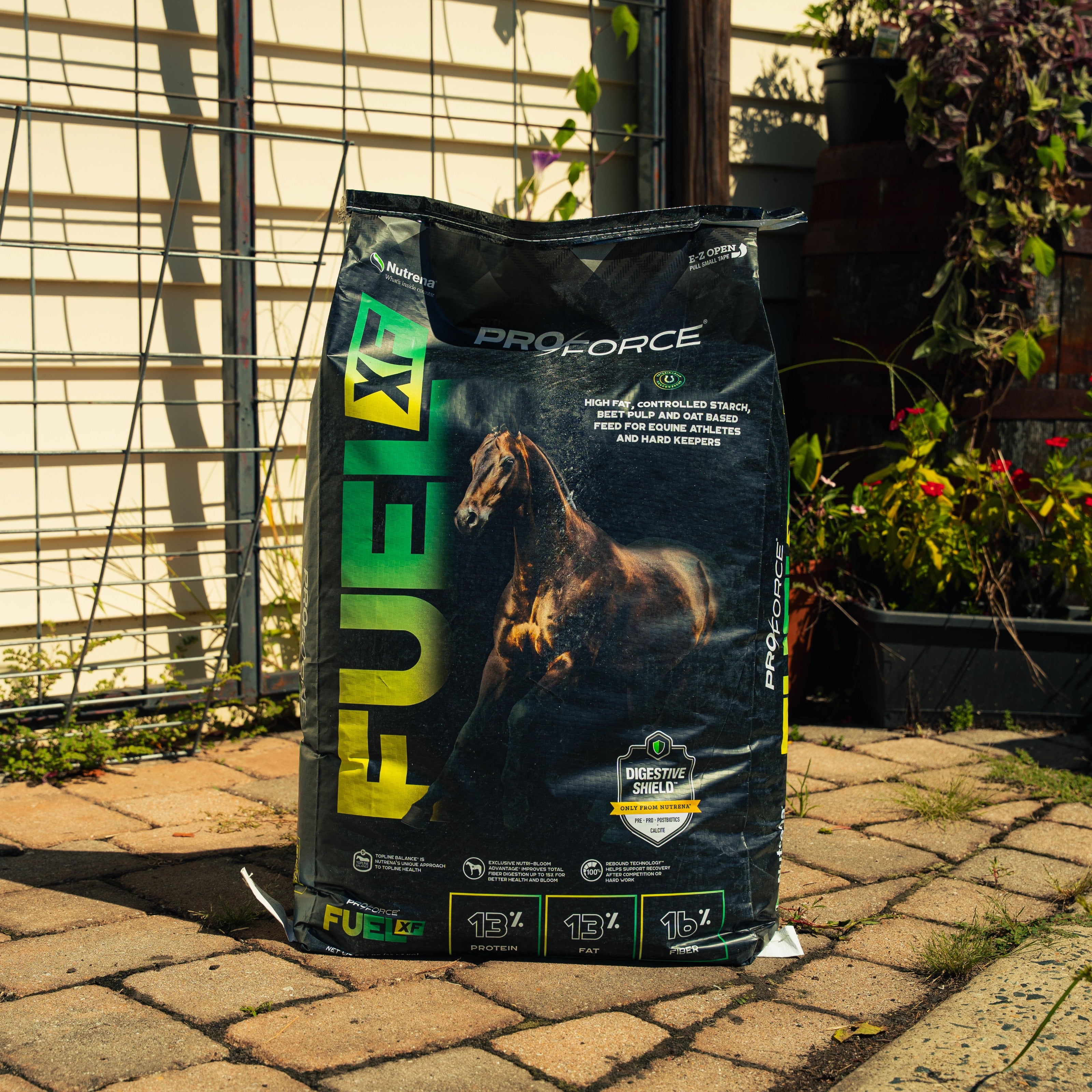 Nutrena ProForce Fuel XF Horse Feed | The Mill