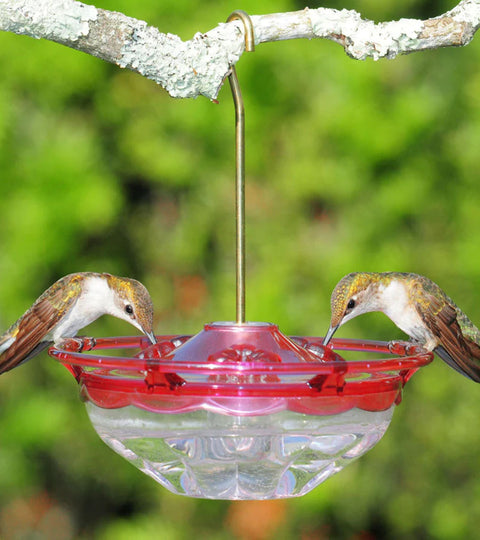 Humm Blossom Hummingbird Feeder
