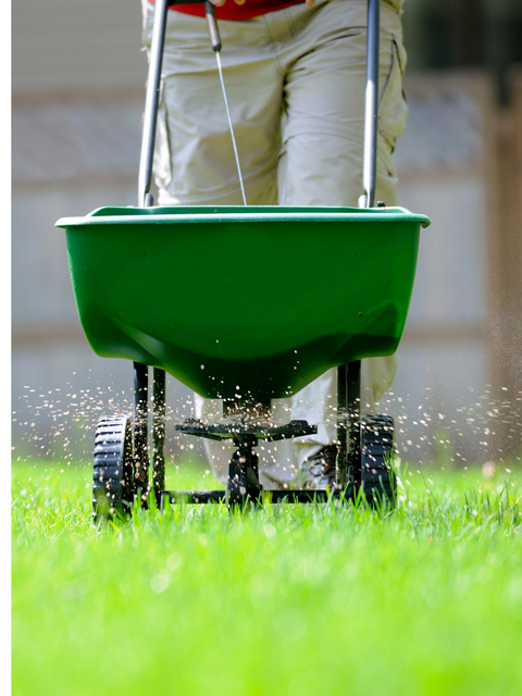Fertilizer spreader in grass